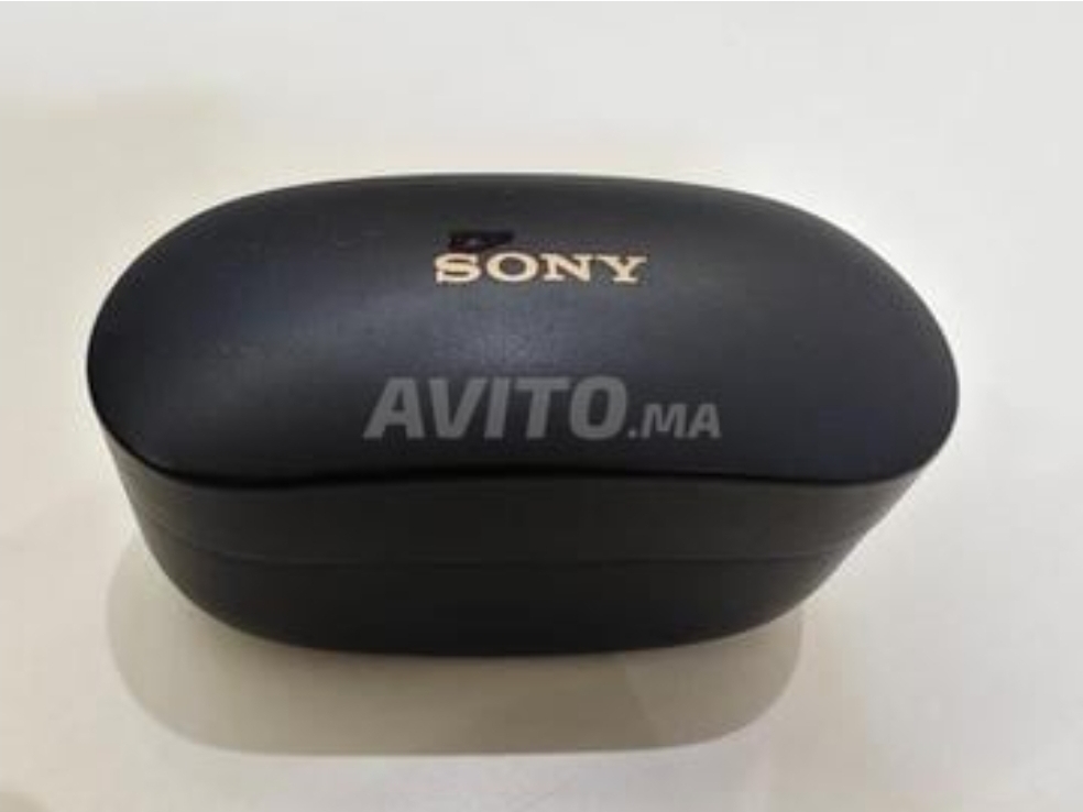 Le boitier avec un seulbecoiteur dedans