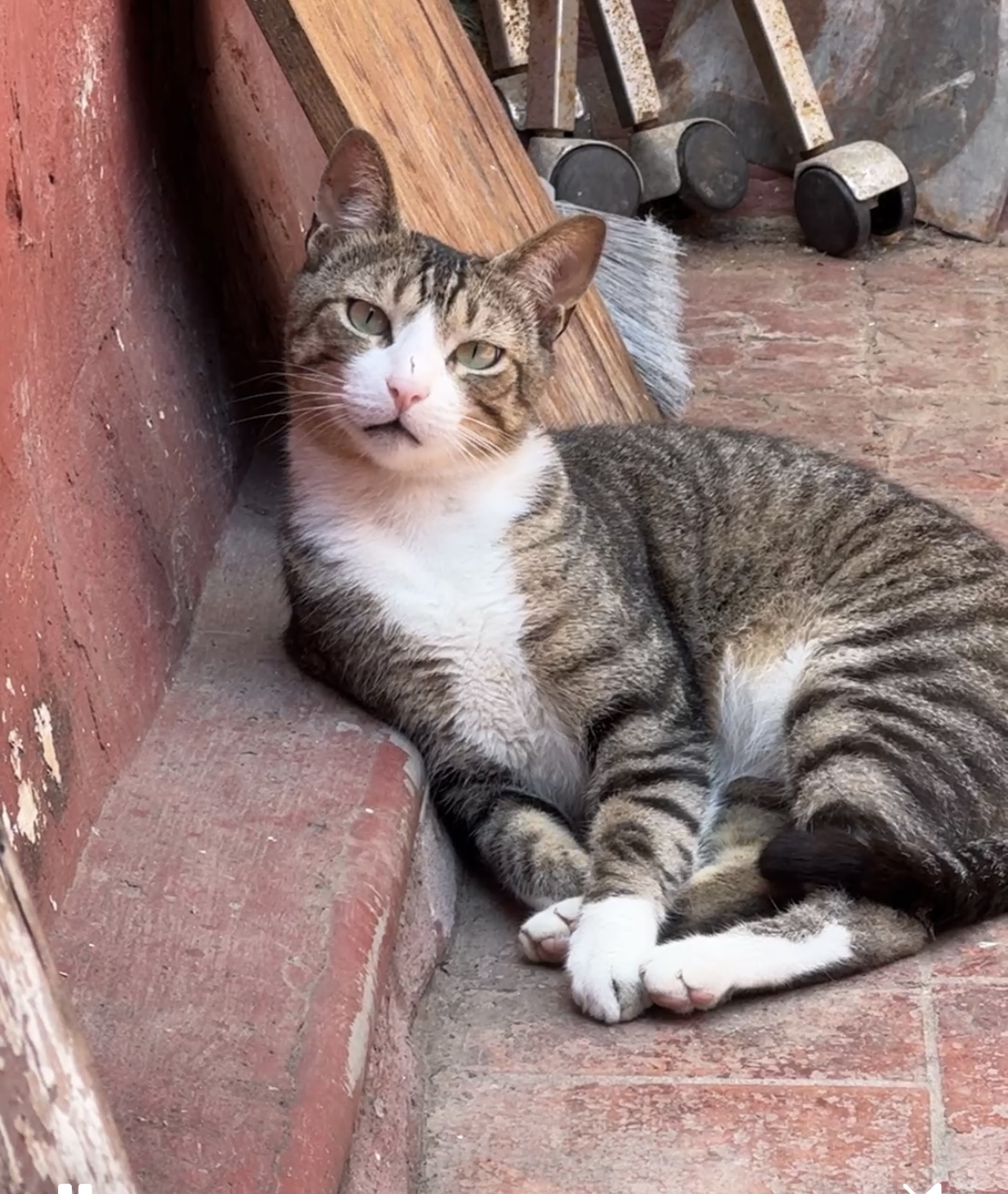 - Main gauche avec un doigt coloré
- collier vert avec le mot nice